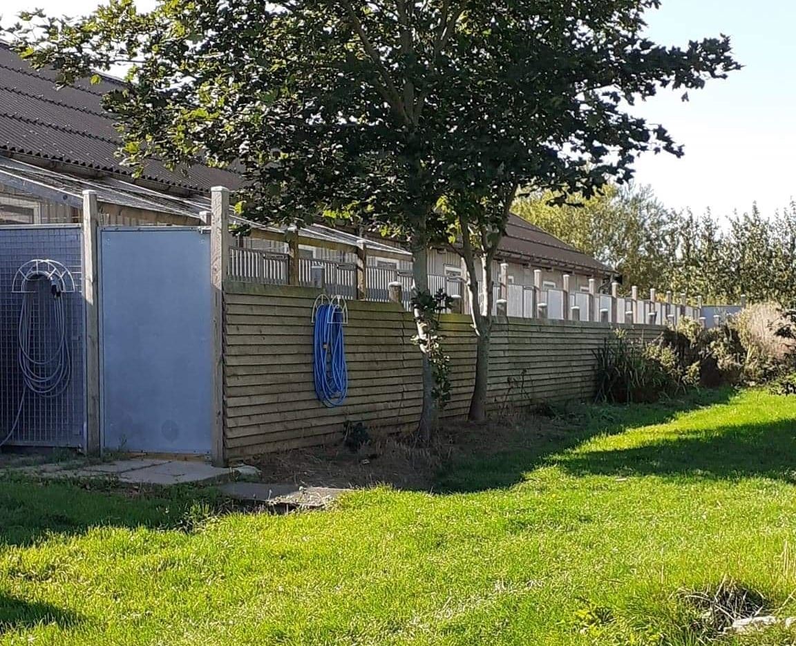 Hundepension for alle hunde i alle aldre